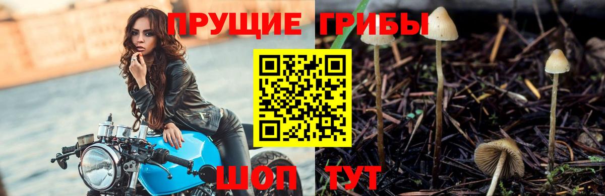 Псилоцибиновые грибы ЛСД  Вход с VPN  Чусовой 